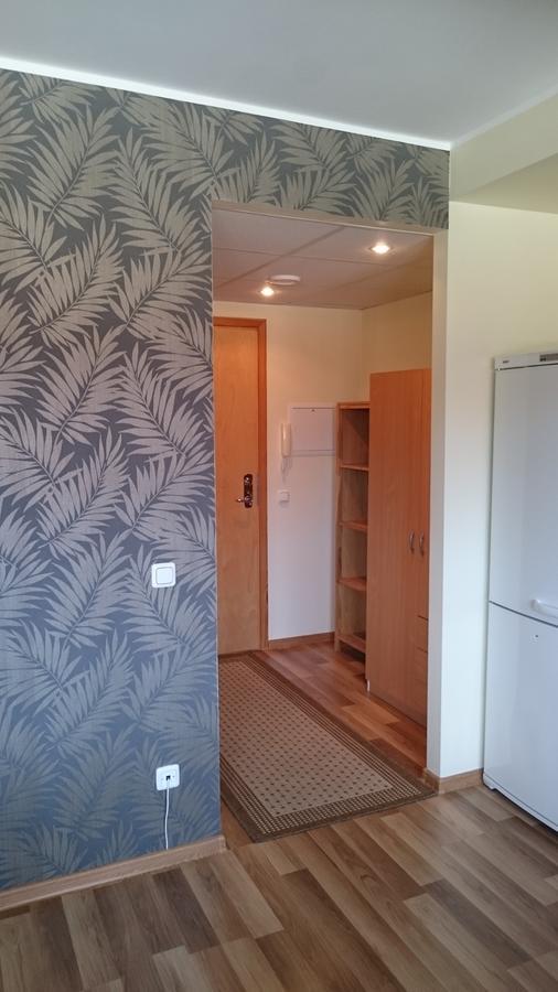 Paernu City Center Apartment Buitenkant foto